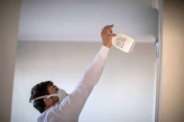 Best Emergency Mold Remediation in Albany, MN